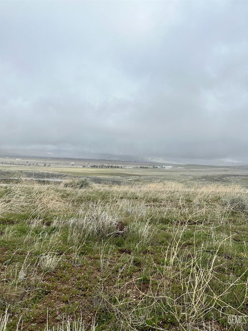 Media Image 2