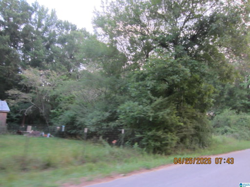 Media Image 2