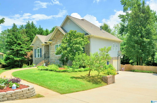 Media Image 3