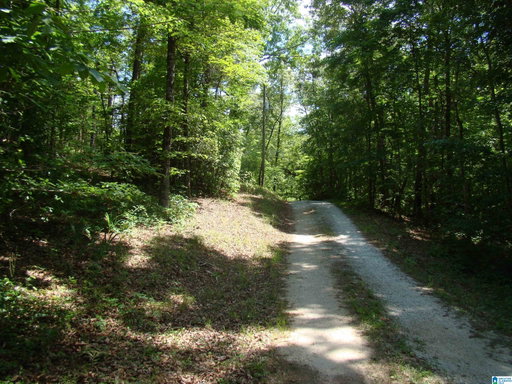 Media Image 2