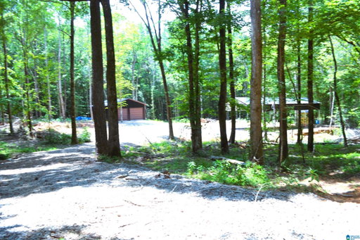 Media Image 3