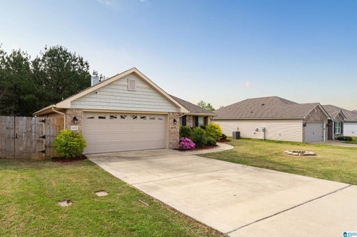Media Image 3