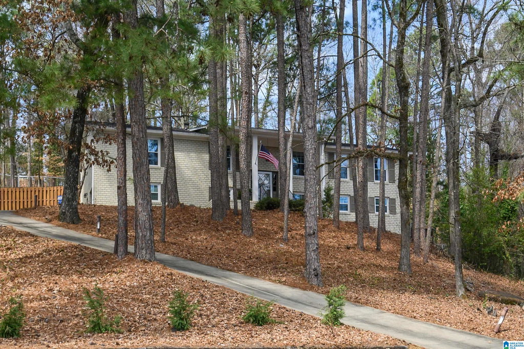 Media Image 1
