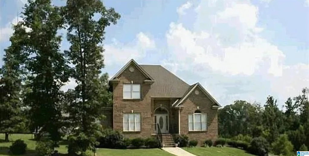 Media Image 1