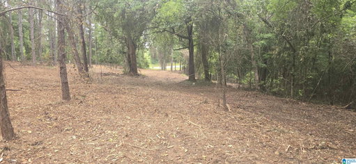 Media Image 2