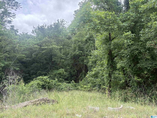 Media Image 3