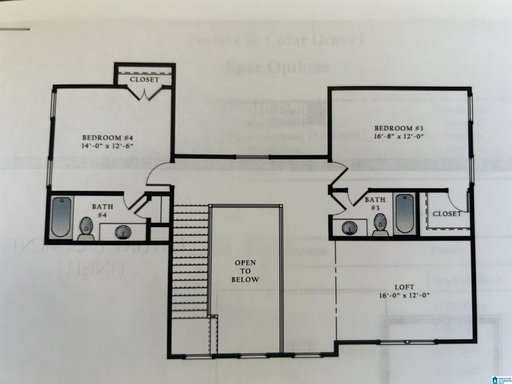 Media Image 3