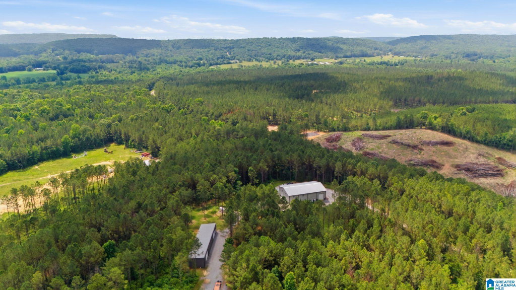 Media Image 1