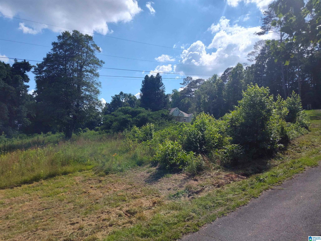 Image Unavailable