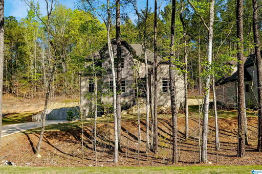 Media Image 3