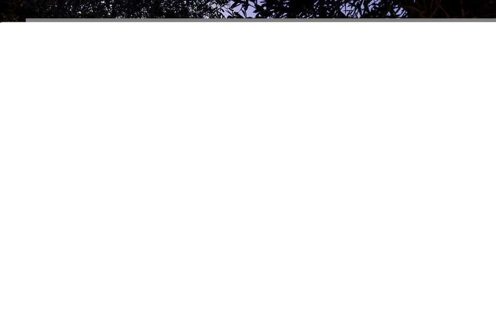Image Unavailable