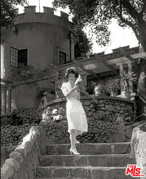 Media Image 2