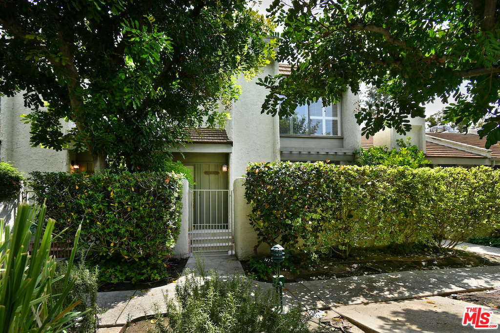 Media Image 1