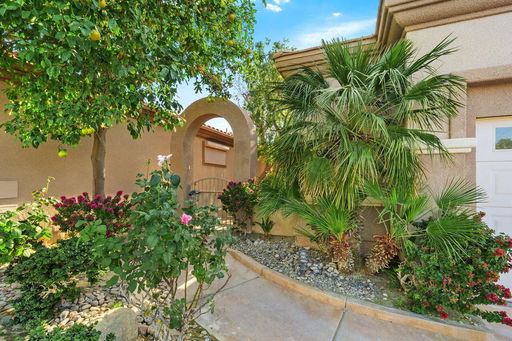 Media Image 3