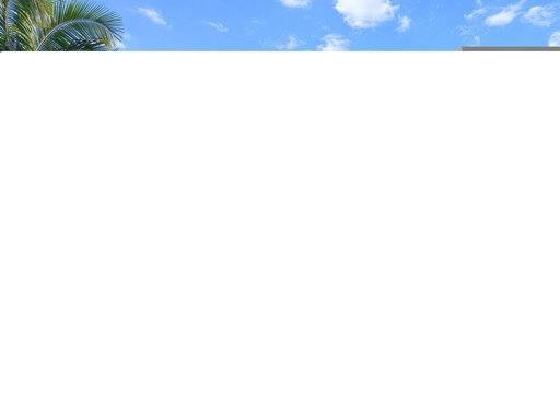 Media Image 2