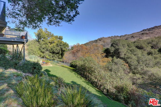 Media Image 3