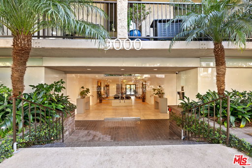 Media Image 2