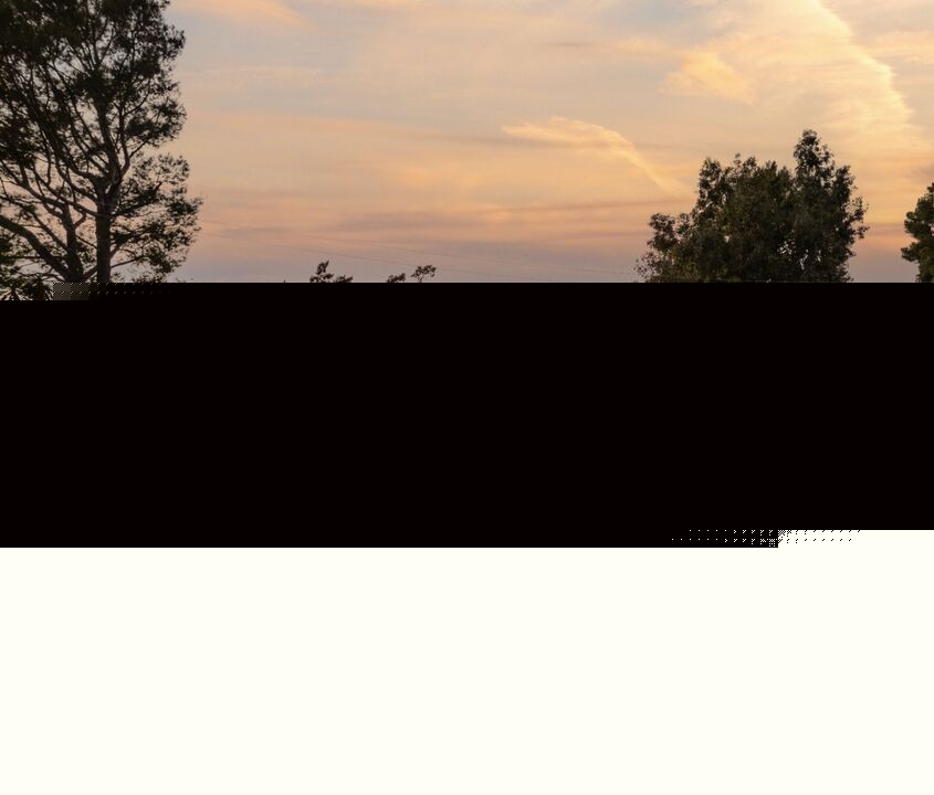 Image Unavailable