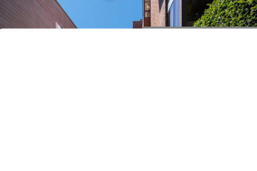 Media Image 3