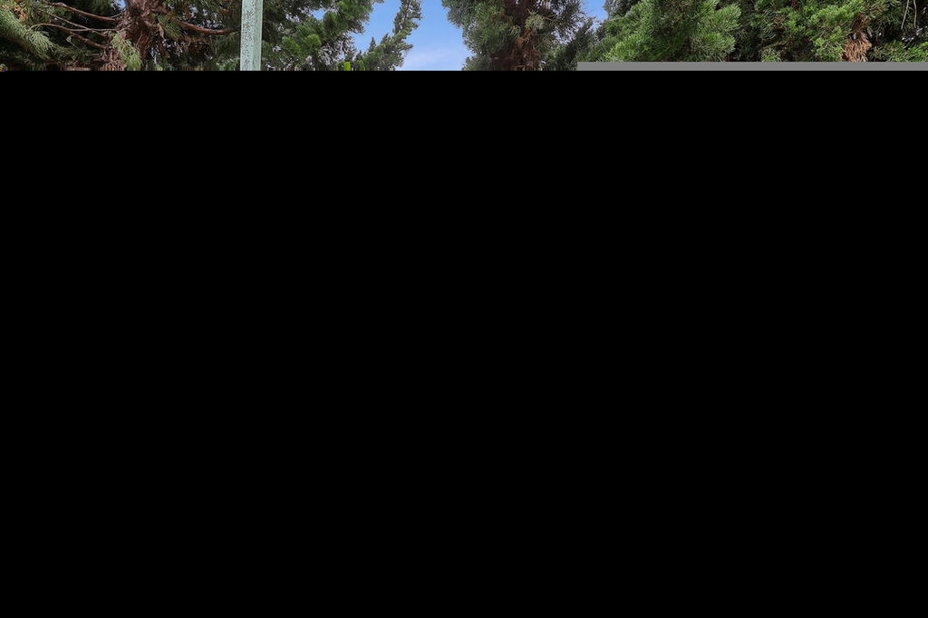 Image Unavailable