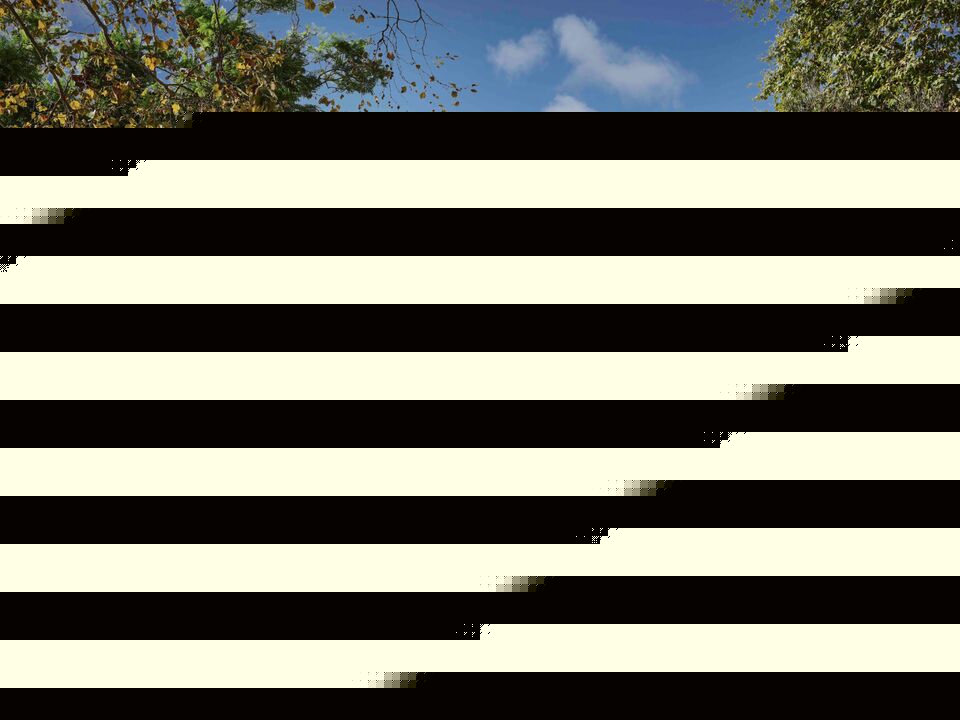 Image Unavailable