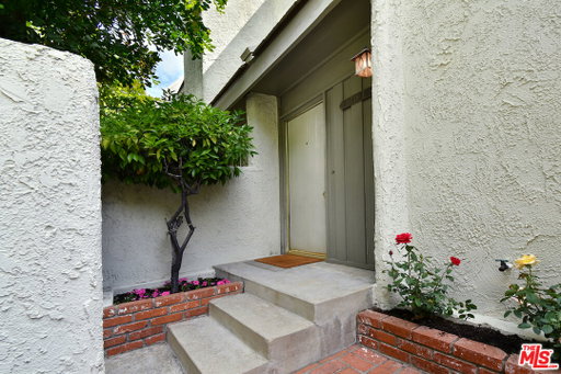 Media Image 3