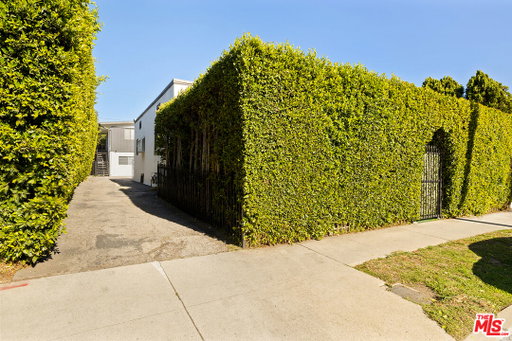 Media Image 2