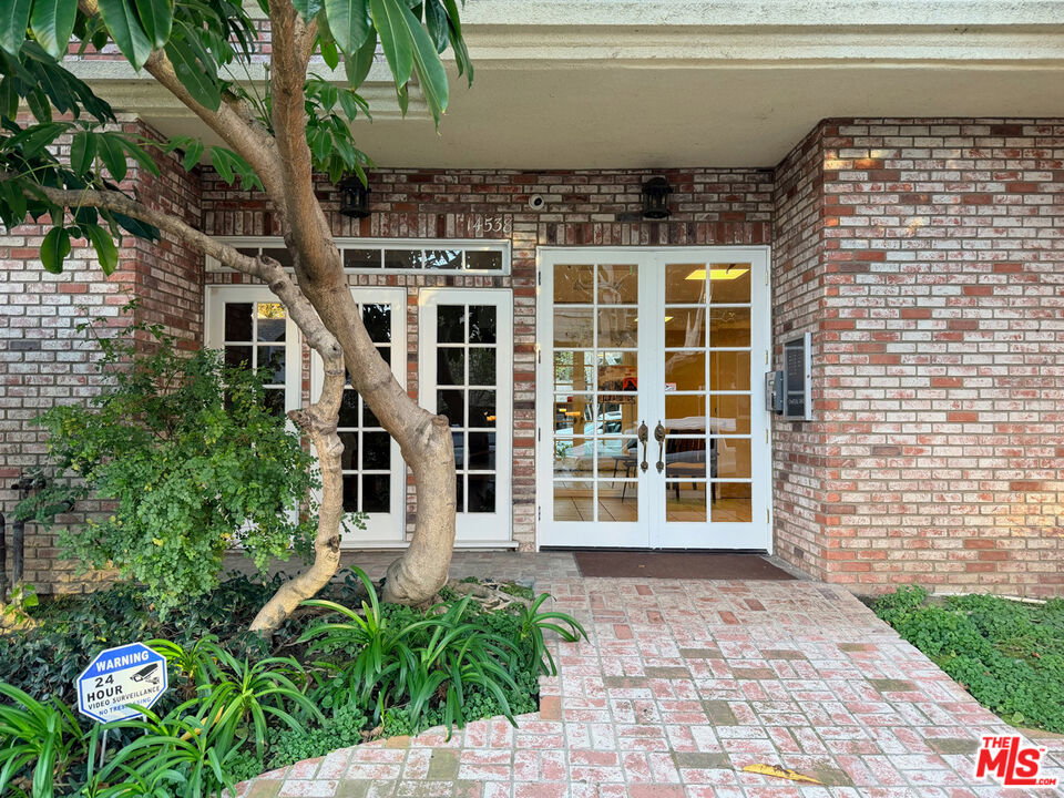 Media Image 1
