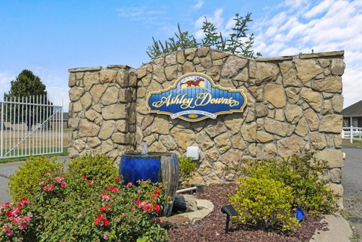 Media Image 2