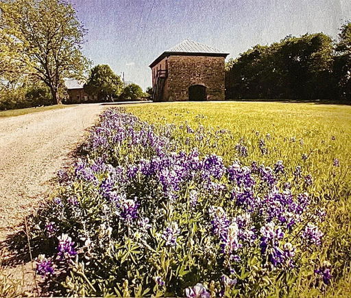 Media Image 2