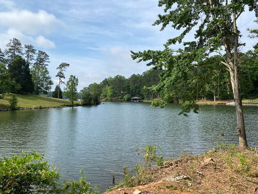 Media Image 3