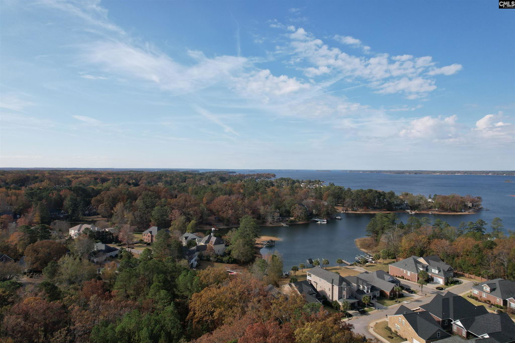 Media Image 1