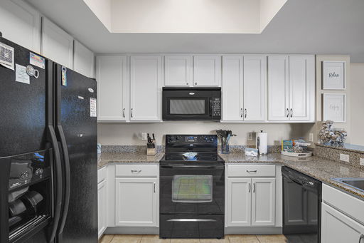 Media Image 3
