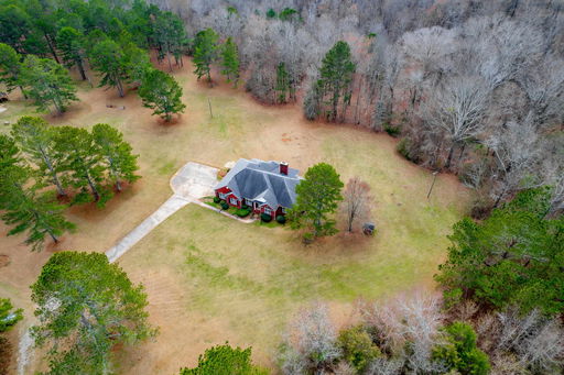 Media Image 3