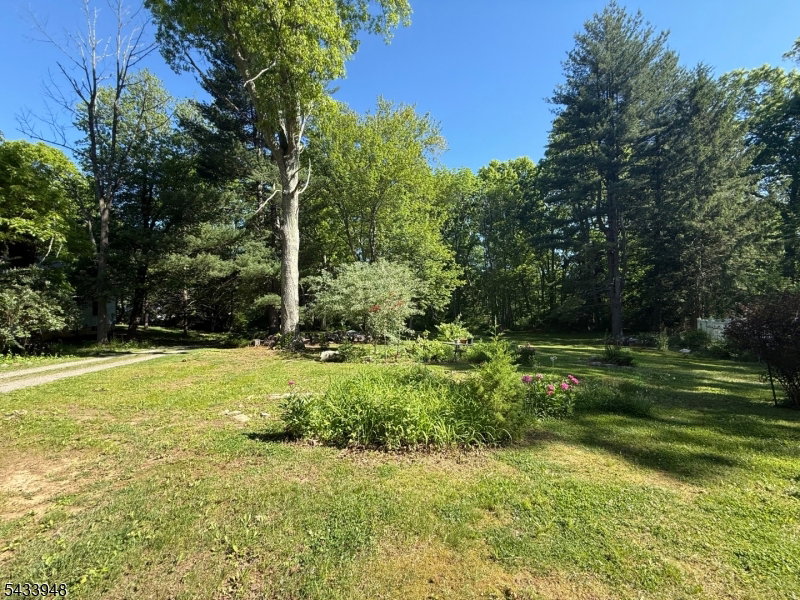 Image Unavailable