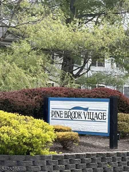 Media Image 1