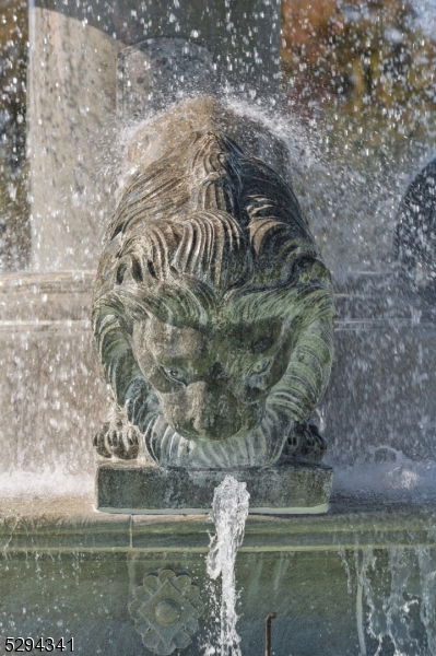 Media Image 3