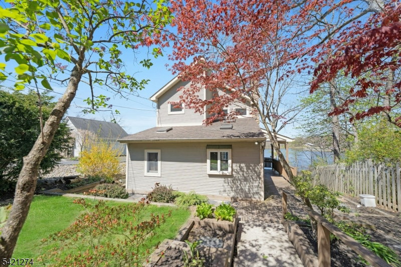 Media Image 1