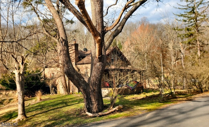 Media Image 1
