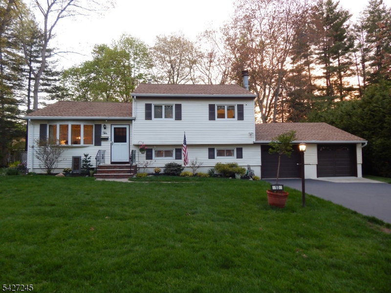 Media Image 1