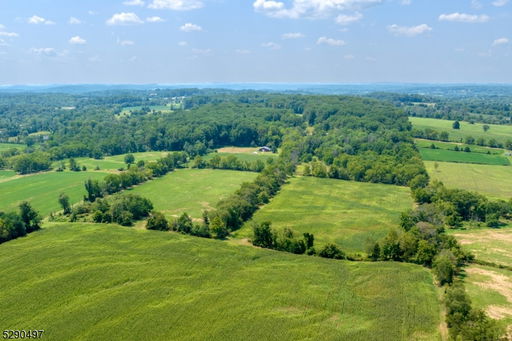 Media Image 3