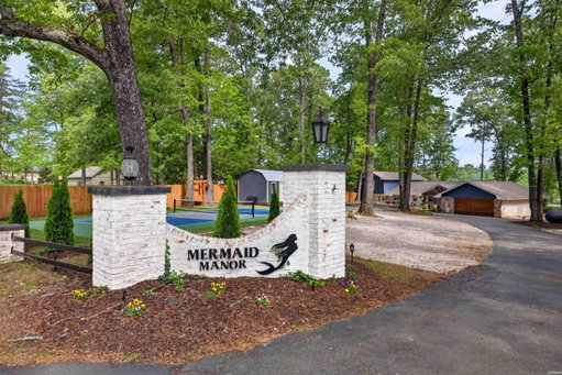 Media Image 2