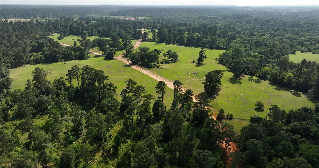 Media Image 1