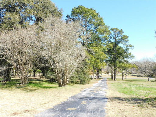 Media Image 2