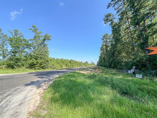 Media Image 3