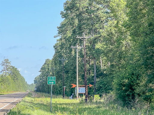 Media Image 2