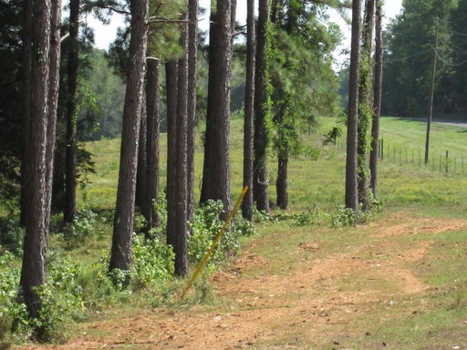 Media Image 3