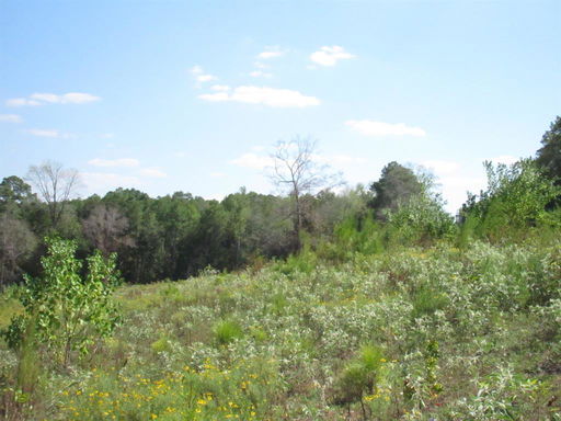 Media Image 3