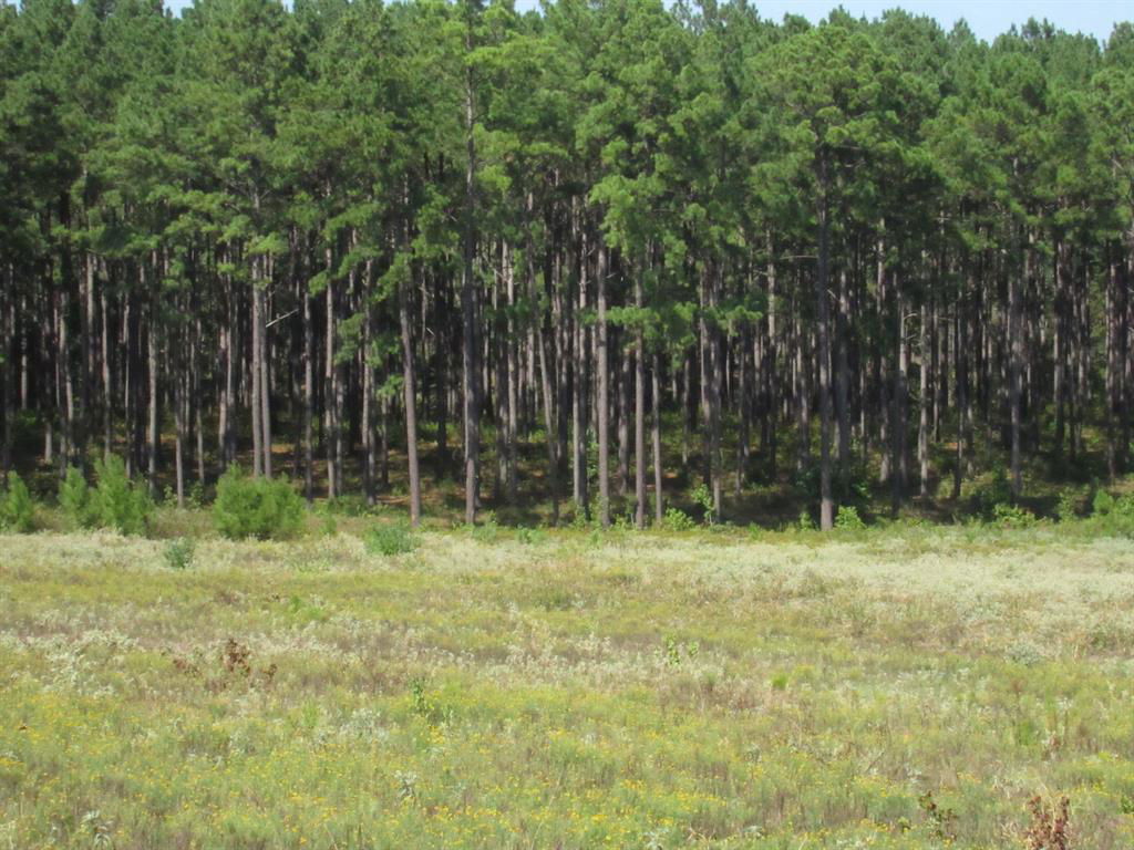 Media Image 1