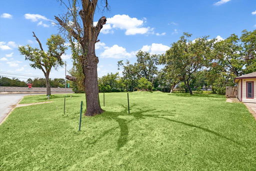Media Image 3